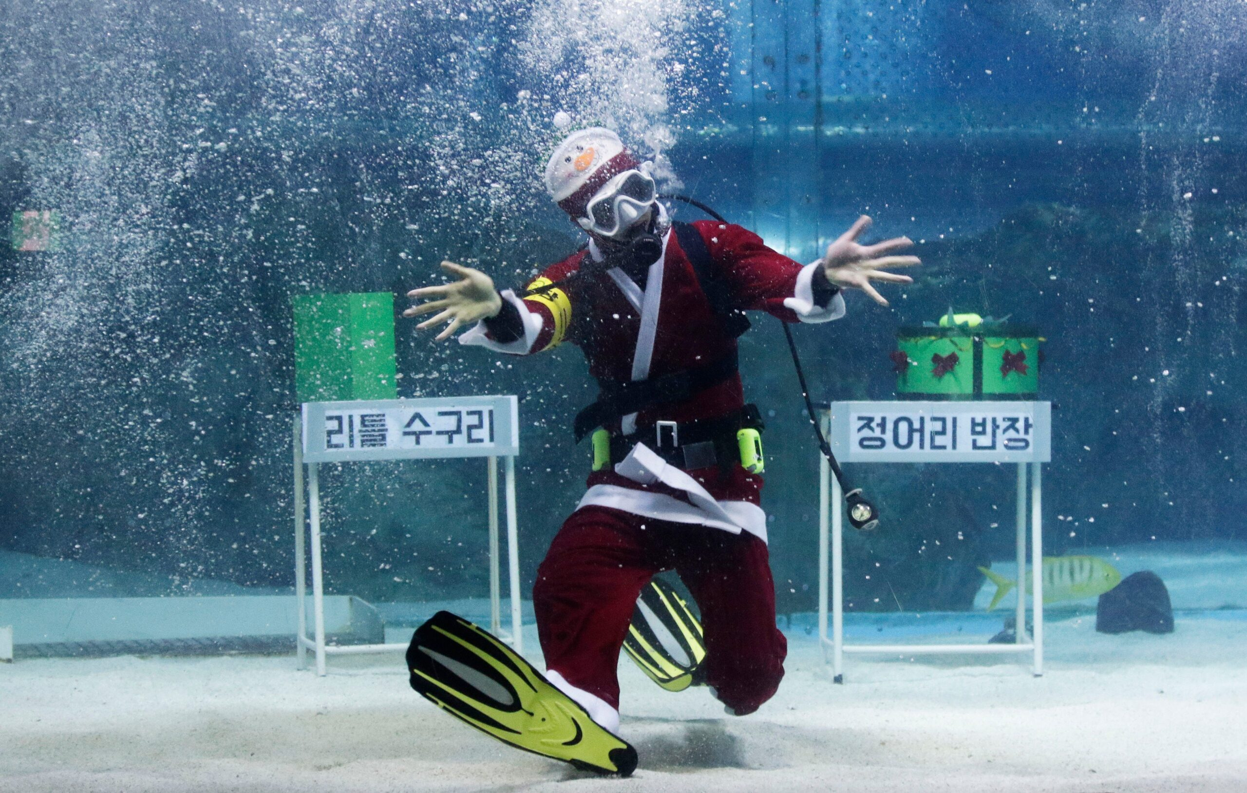 Podvodní vánoční show v jihokorejském Soulu.
