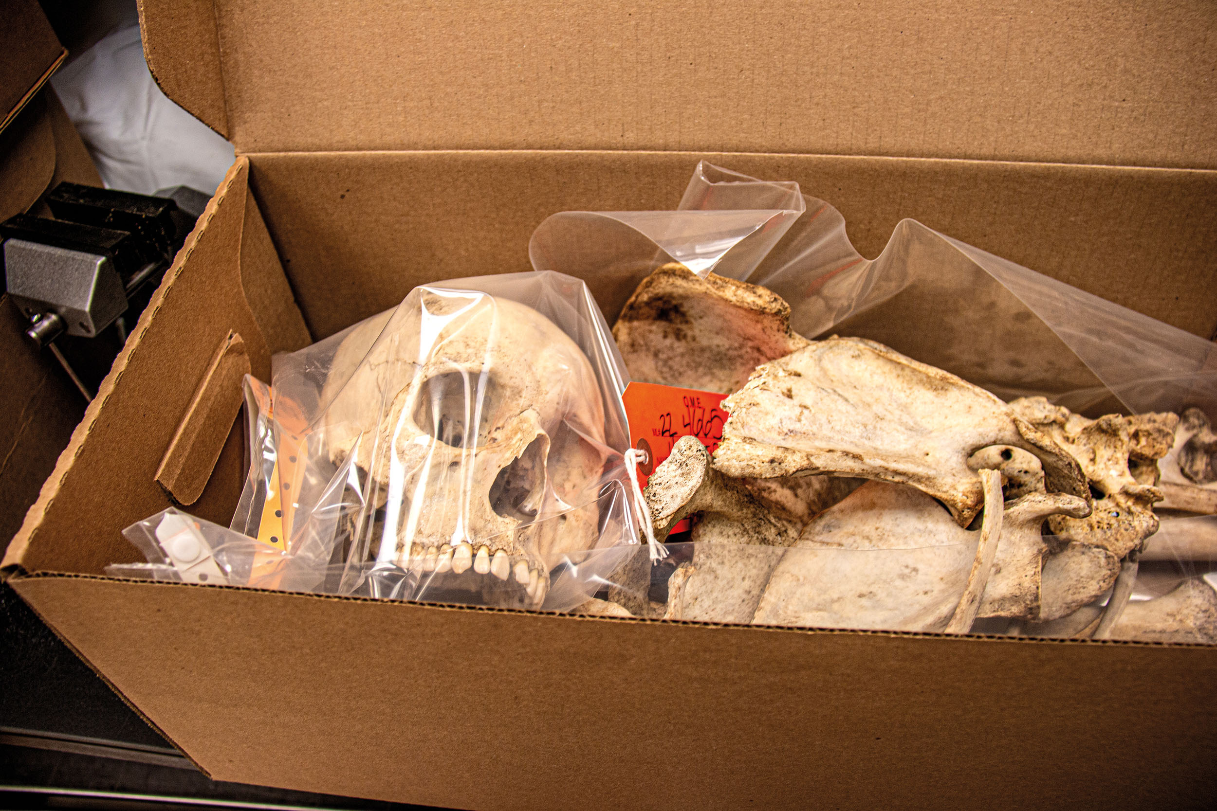 Nevyřešené případy. Ve skladu čekají stovky krabic plných kostí,
které se dosud nepodařilo identifikovat.