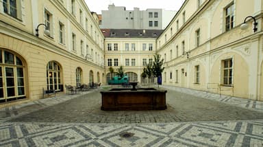 Dluh ČSSD:  Za Zemana a spravedlnost