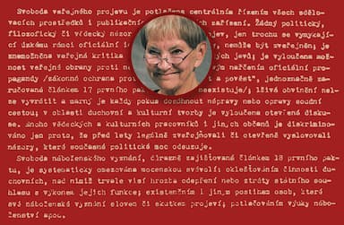 Chartistka Mašínová: Demokracie se umí zahubit přes noc