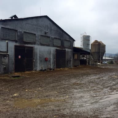 Slepota pod Řípem: vše pro agrokombináty