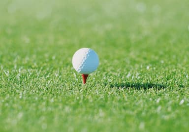 Golf na vysvědčení