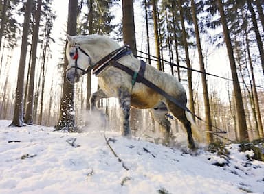 Prrr, huj, pomalu!