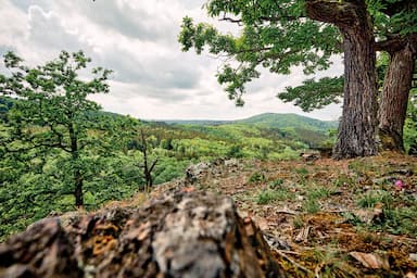 My to tady nechceme. Slyšíte nás? Spor o národní park Křivoklátsko