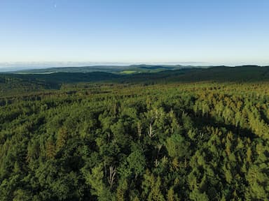 Byznys zelená, vláda mlčí