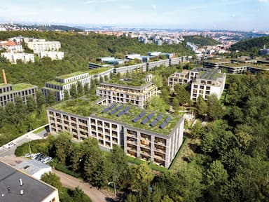 Chceme prošlápnout cestu dřevěným domům