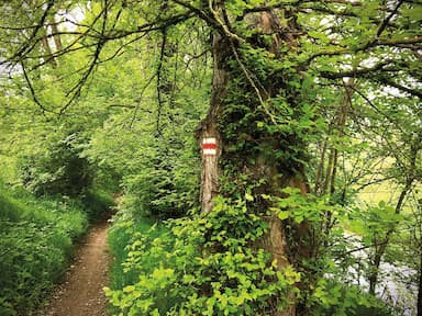 Raději udělat jednu značku navíc než žádnou! Jak jsem se učil malovat turistické trasy