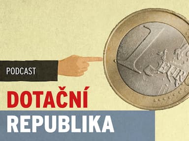 Dotace a kontrola. Z podpor se stal byznys, co se jen těžko hlídá