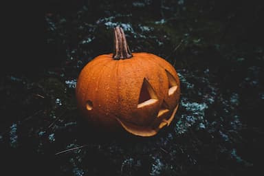 Halloween aneb Koledu, nebo vám něco provedu!