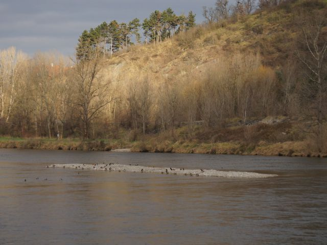 Snímek z 24. prosince 2014.
