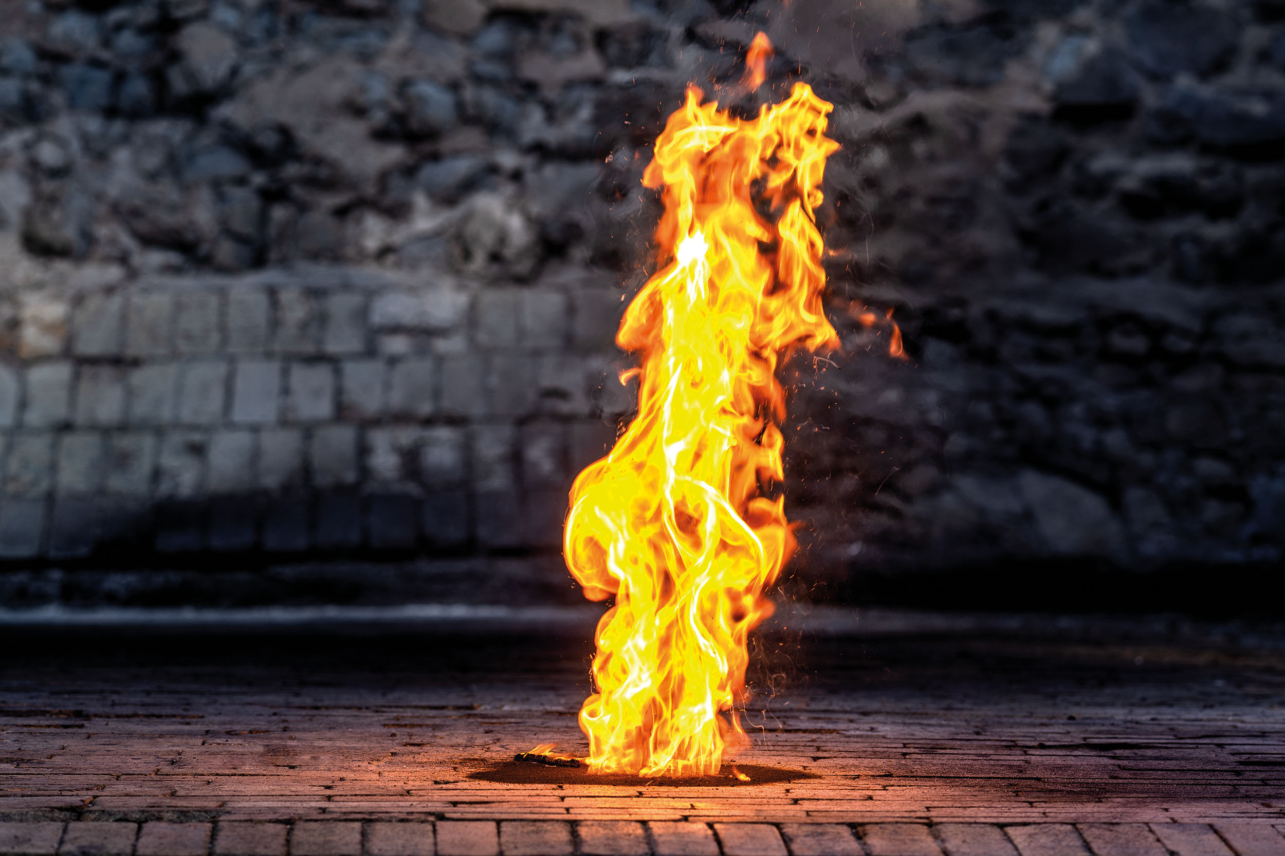 Jedním z hlavních výrobků Explosie jsou střelné prachy. Ze směsi dřevěného uhlí, dusičnanu draselného a síry se zde vyrábí tradiční černý střelný prach, dnes používaný hlavně v historických zbraních a pyrotechnice. Pro moderní zbraně a vojáky jsou určené bezdýmné střelné prachy, které jsou relativně stabilnější a méně citlivé na vnější vlivy.