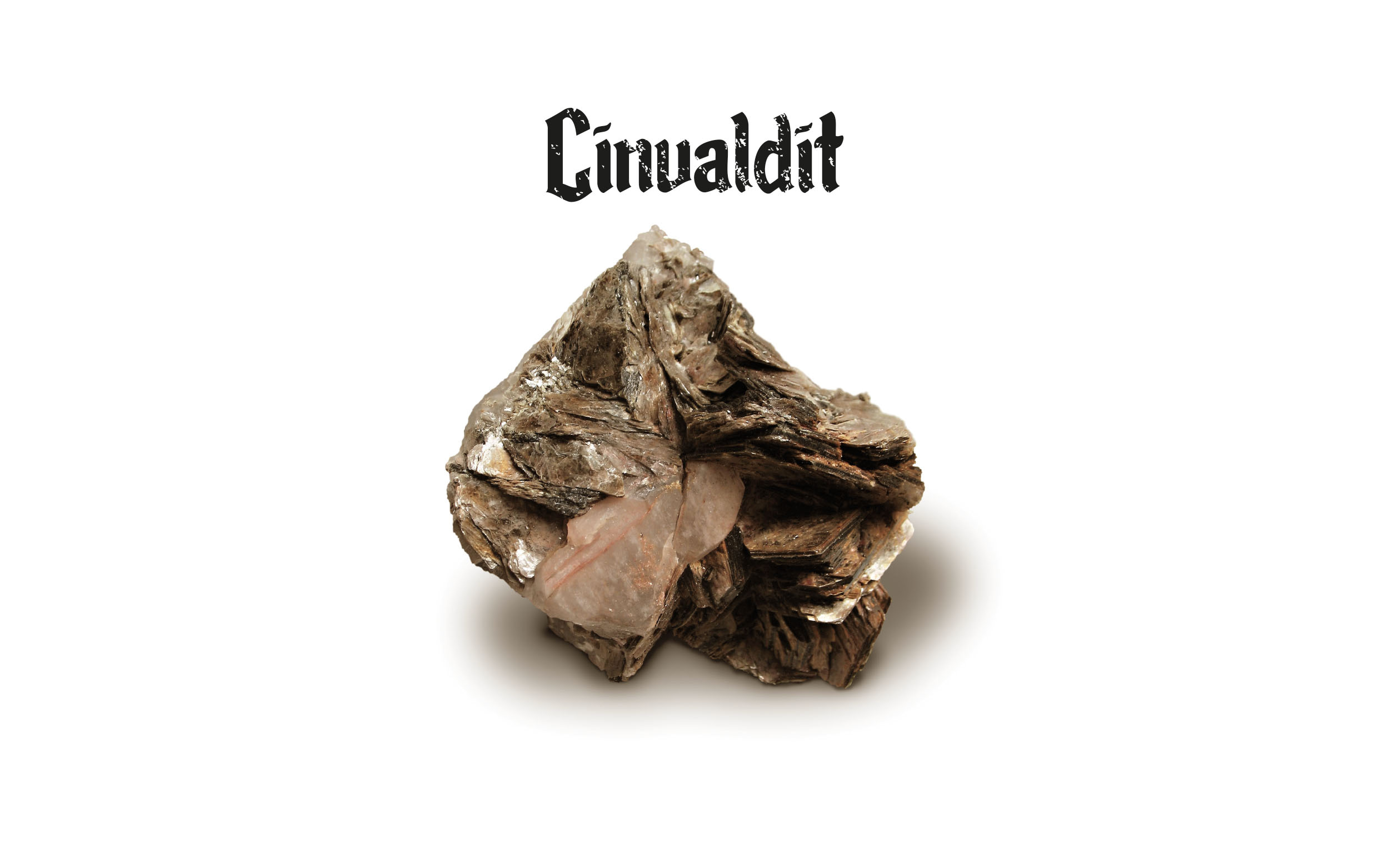 KLiFeAl(AlSi3)O10(OH,F)2

Cinvaldit (lithná slída, zinnwaldit) je stříbřitě šedý minerál, který se vyskytuje v ložiscích cínowolframových rud. Nejznámější naleziště je Cínovec/Zinnwald v česko-německém pohraničí na Teplicku. Jinde v Evropě se vyskytuje v hrabství Cornwall na jihozápadě Anglie. Jde o měkčí slídu s vysokým podílem křemíku, 
železa, hliníku, draslíku a fluoru. Lithia obsahuje relativně málo, do 1,6 procenta.