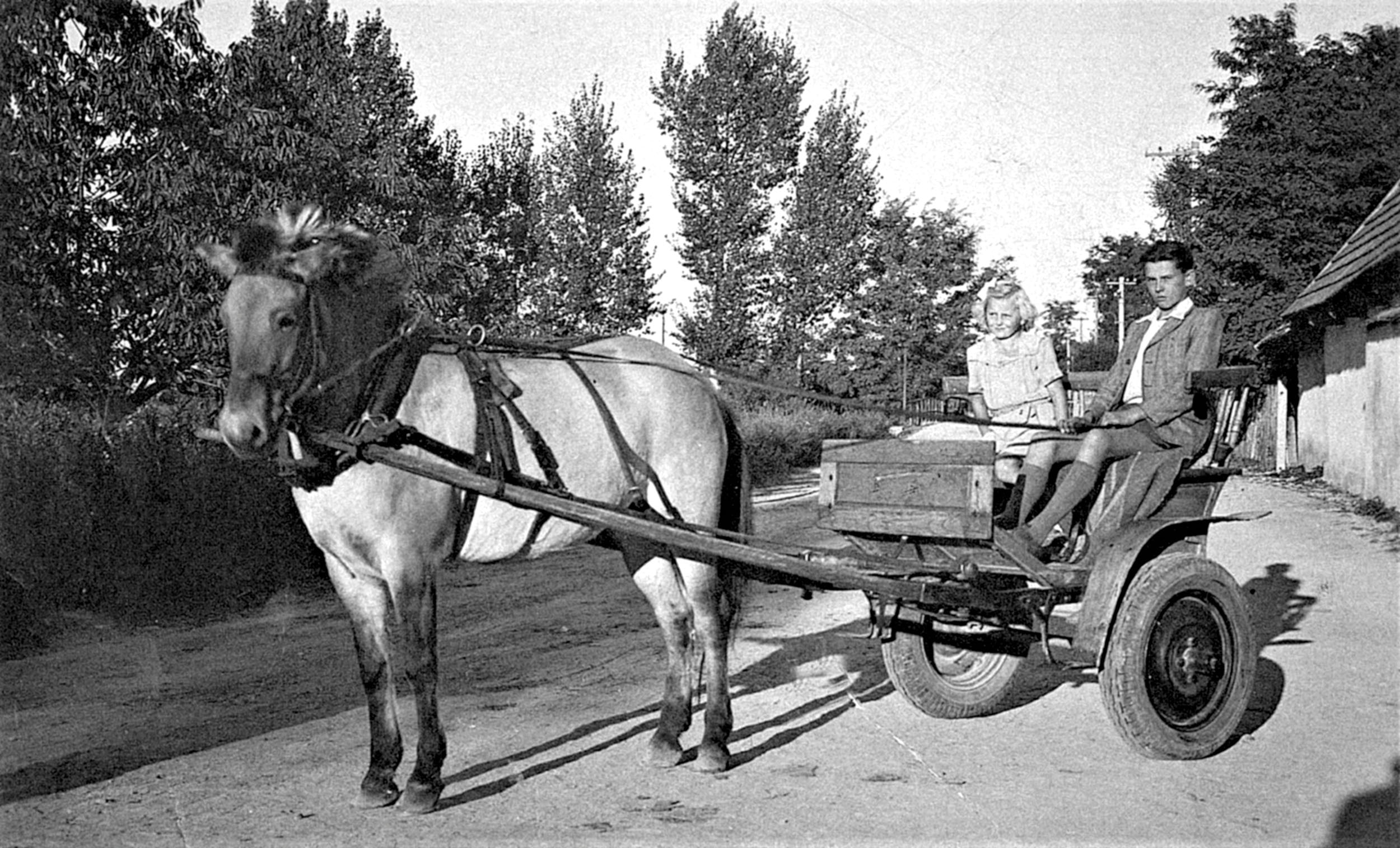 Marie, její bratr František 
a kobyla jménem Jiskra, 1948.