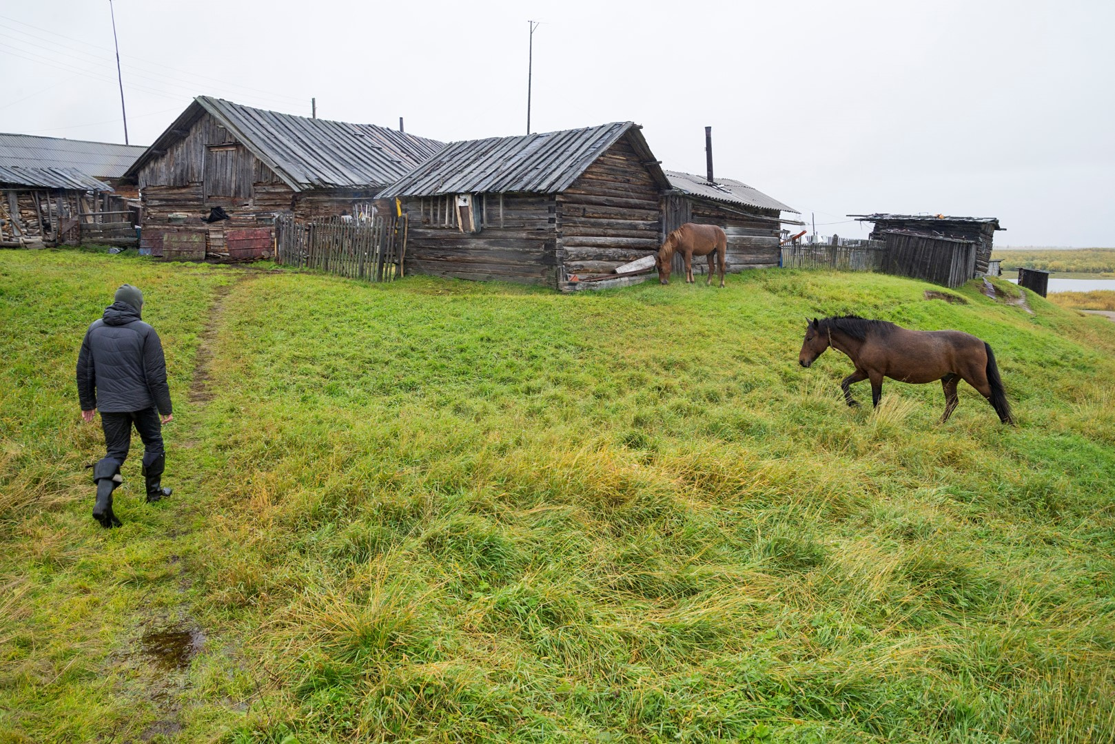 Za jemného deště se vracím z procházky osadou Kuššor do domu manželů Volotovských. Na loukách se pase stádo jejich koní.