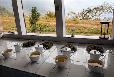 Příběh čaje. Nepálská zahrada v horách, žádné chemikálie a napínavá degustace 